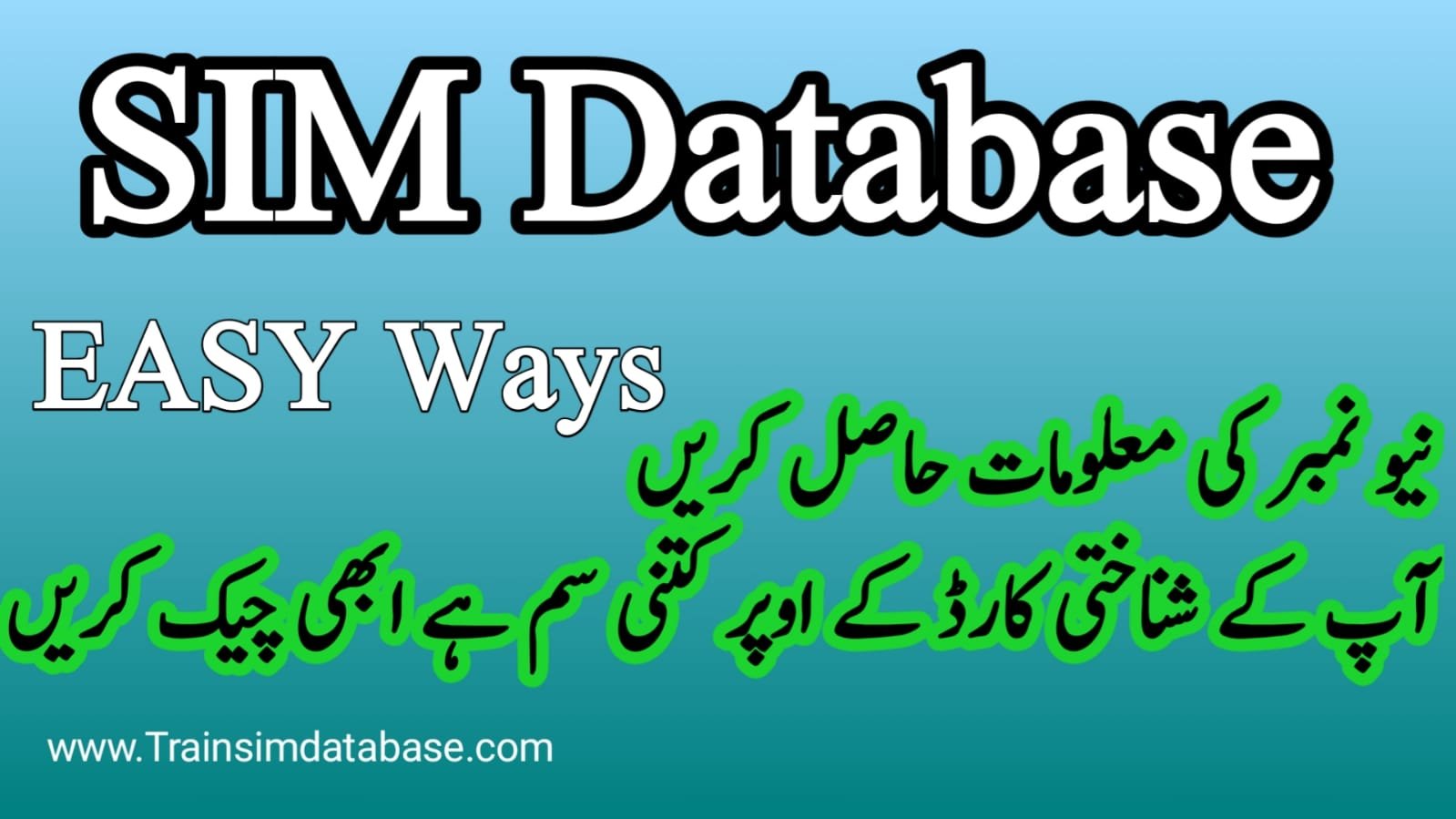 Best Way For SIM Database 2023